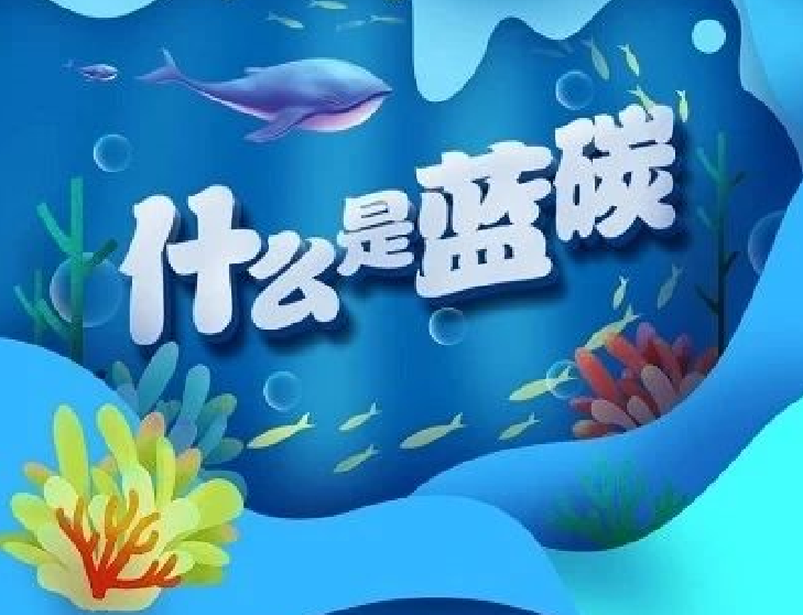 圖解｜你知道“藍碳”是什么嗎？